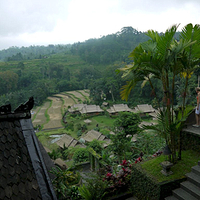 Photo de Bali - Baturiti